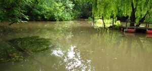 Масштабная уборка у Черепашиной ставка в Днепре: присоединиться могут все желающие