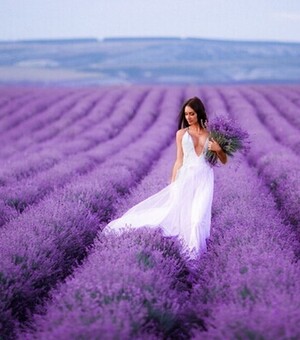 Лавандові поля у Львівській області: 5 неймовірних місць для проведення фотосесії 