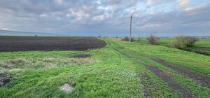 В Одесской области молодой человек засеял кукурузой участок в охранной зоне