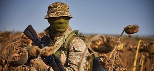 ВСУ отразили позиции в Малой Токмачке, а РФ продвинулась в Малиновке: какая ситуация на Запорожском направлении