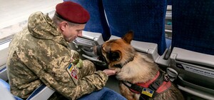 Укрзализныця обновила правила перевозки домашних животных