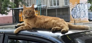 Завершение июля и первый день августа: какая погода будет в Одессе на следующей неделе