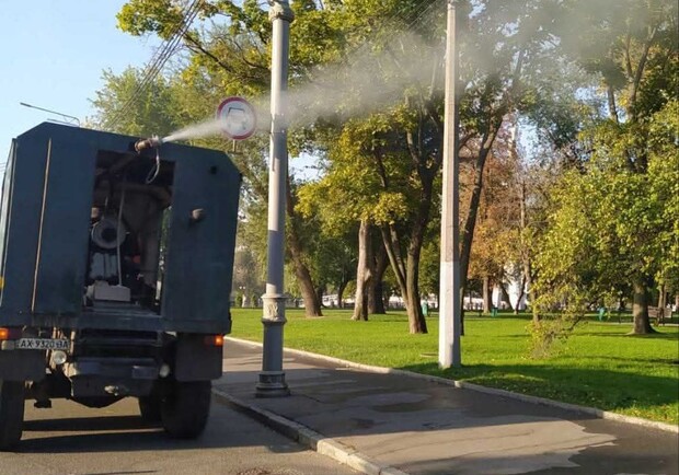 В Харькове несколько парков обработают от вредителей. 