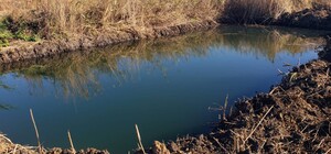 Мешканець Харківської області самовільно викопав ставок: йому загрожує до трьох років в'язниці