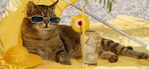 На Одещині зафіксували черговий температурний рекорд: спека перевищила +37 °С