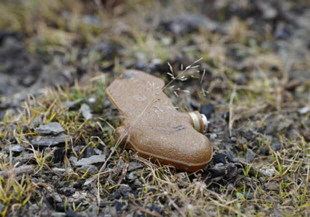 Чоловік підірвався на "пелюстці" під час косіння трави в селі на Харківщині 