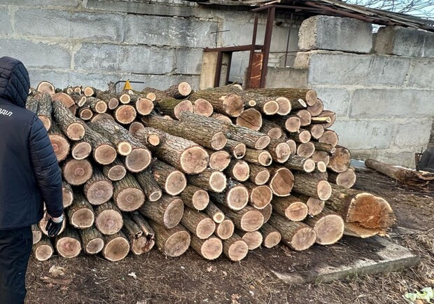 На Харківщині блокували масштабну вирубку дерев. 