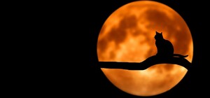 Полнолуние и новолуние в августе 2025: лунный календарь