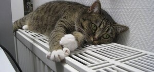 Отопительный сезон в Одесской области: насколько готовы к зиме