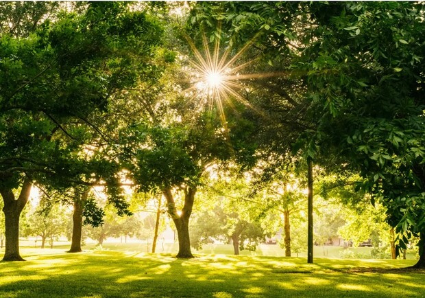 На Салтівці пропонують облаштувати новий парк. 