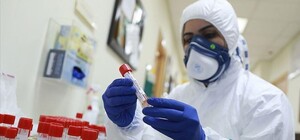 Новый штамм коронавируса 