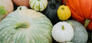 Где в эти выходные в Киеве пройдут продуктовые ярмарки. Адреса