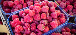 Где на этой неделе в Киеве пройдут ярмарки. Адреса