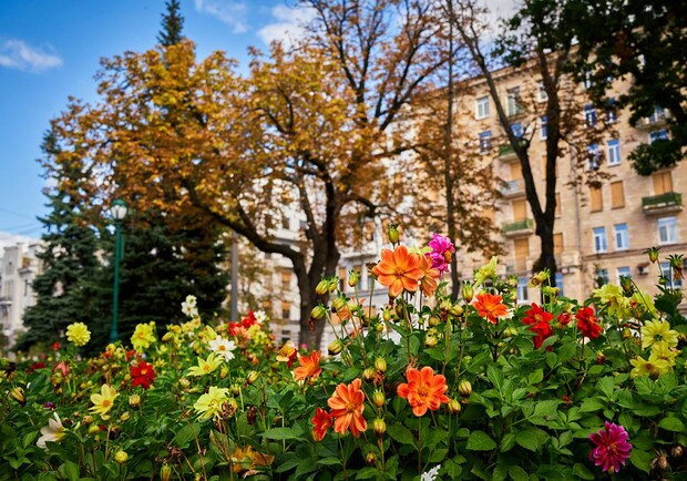 Какая погода будет в Харькове в первые выходные октября. 