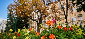 Какая погода будет в Харькове в первые выходные октября