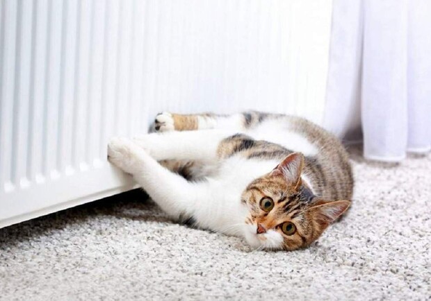 Когда в Украине стартует отопительный сезон 2025-2026: даты, условия и особенности. 