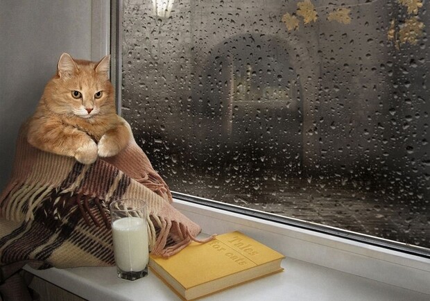 Осіння прохолода і дощі: прогноз погоди на тиждень у Харкові. 