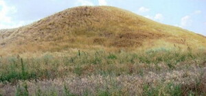 В Харьковской области незаконно продали курган