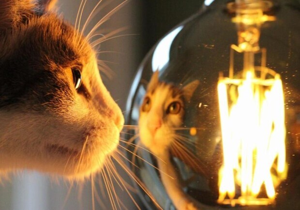 В одному з районів Харкова у суботу відключать світло: адреси. 