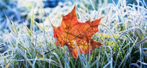 Хмарність з проясненнями та заморозки: прогноз погоди у Харкові на тиждень