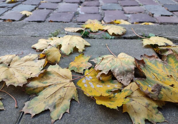 Тепла осінь: яка погода буде у Харкові останніми вихідними жовтня. 