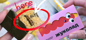 В Україні почали продавати шоколад із справжніми личинками жуків