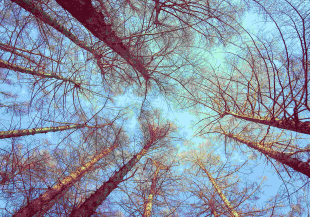 До 14 градусів тепла: яка погода буде у Харкові цими вихідними. 