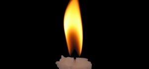 40-річна жінка померла від сказу у Львові 