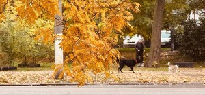 Середина листопада: яка погода буде в Одесі цими вихідними
