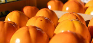 Де на цьому тижні у Києві пройдуть продуктові ярмарки. Адреси