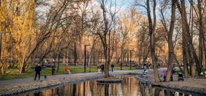 З нічним морозцем: яка погода буде у Харкові в останні вихідні листопада