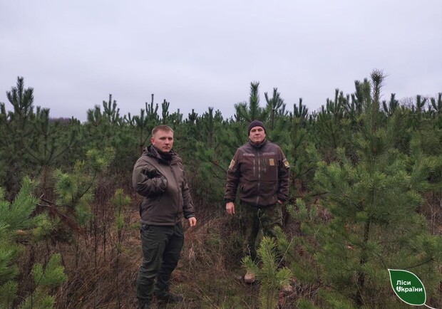 На Харківщині почали патрулювати ліси: з якою метою. 