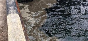 Загрязнение Сухого лимана после обстрелов Одесчины: какие убытки понесла окружающая среда