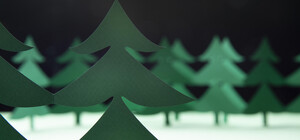 Харківська область — у трійці антилідерів з ялинкового браконьєрства