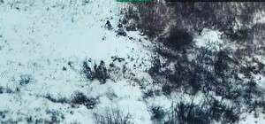 Оккупанты пытались прорвать оборону на Липецком направлении — 