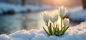 Какая погода будет в Харькове в марте — прогноз