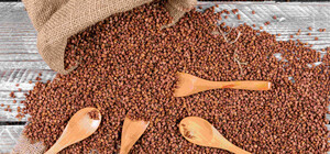 В Украине может подорожать гречка: к чему готовиться