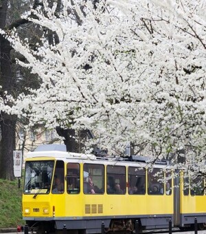 Львів — місто весни: топ фестивалів, ярмарків та екскурсій, які не можна проґавити