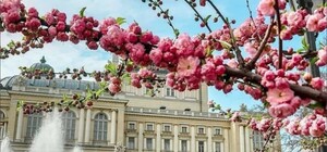 От заморозков до +20 °С: какая погода будет в Одессе на следующей неделе