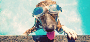 В медиа распространяют заявления об 