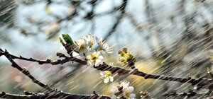 До +19 °С, но не без дождей: какая погода будет в Одессе в эти выходные