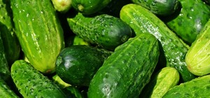 Де цими вихідними у Києві пройдуть продуктові ярмарки. Адреси