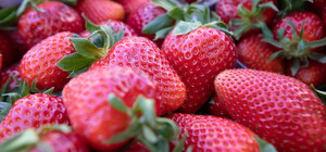 Де на цьому тижні у Києві пройдуть продуктові ярмарки. Адреси