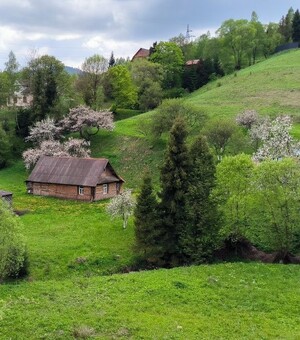 Як отримати земельну ділянку безкоштовно. Поради юристів 