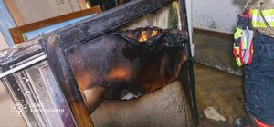 Харківський художній музей постраждав від удару БПЛА