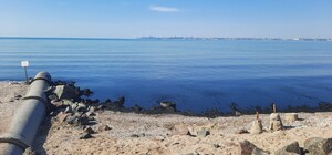 В Госэкоинспекции рассказали о состоянии моря после прорыва коллектора возле Крыжановки