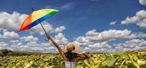 Августовская жара не отступает: какая погода будет в Одессе на следующей неделе