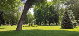 Погода у Харкові на цьому тижні: скільки триватиме спека