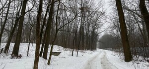 Более двух гектаров Лесопарка вернулись в собственность города