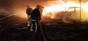 РФ обстреляла приют для животных в Одесской области: погибла собака